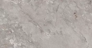 Керамогранит Ocean Ceramic Element Castona Gris 20x120 OC0000181 Керамогранит Ocean Ceramic Element Castona Gris 20x120 OC0000181