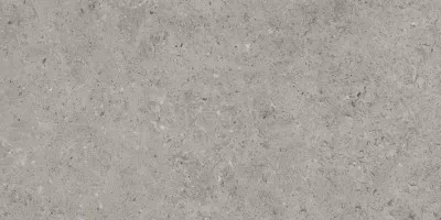 Керамогранит Living Ceramics Bera And Beren Greige Natural 60x120 LV10423