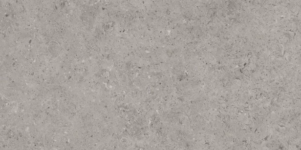 Керамогранит Living Ceramics Bera And Beren Greige Natural 60x120 LV10423