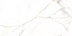 Керамогранит LV Granito Belleza Austrain Natural Glossy 60х120