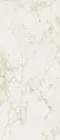 Керамогранит Fap Ceramiche Roma Gold Calacatta Delicato Brillante 120х278 FPZN
