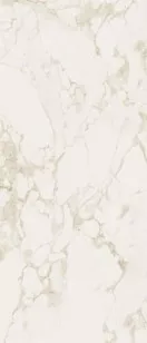 Керамогранит Fap Ceramiche Roma Gold Calacatta Delicato Brillante 120х278 FPZN