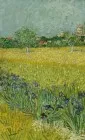 Панно BN International Van Gogh 30543 3.25x2.7 виниловые