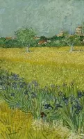 Панно BN International Van Gogh 30543 3.25x2.7 виниловые