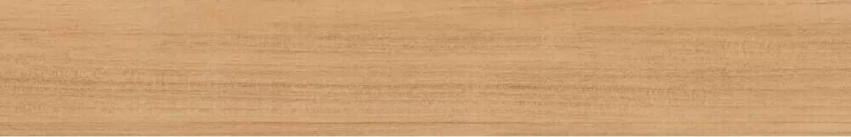 Керамогранит Vives Ceramica World Woods Nordland-R Beige 19.2x119.3