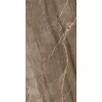 Керамогранит Wifi Ceramics Marble Brown Gloss 60x120 PY126903
