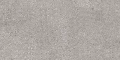 Керамогранит Casa Dolce Casa Sensi By Thun Grey Fossil Nat 6mm R 120x240 768581