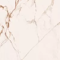 Керамогранит Cerdomus Omnia Macchia Vecchia Levigato 120x120 88912 Керамогранит Cerdomus Omnia Macchia Vecchia Levigato 120x120 88912