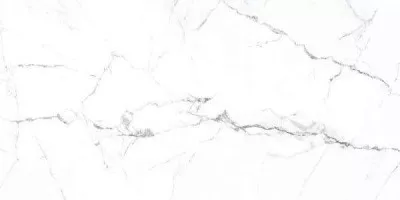 Керамогранит Primavera Colonial White Carving 60x120 CR222 Керамогранит Primavera Colonial White Carving 60x120 CR222