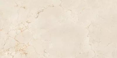Керамогранит Maimoon Ceramica Itacid Criox Moss Carving 60х120 Керамогранит Maimoon Ceramica Itacid Criox Moss Carving 60х120