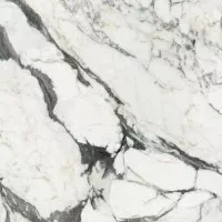 Керамогранит Rex Ceramiche Les Bijoux De Rex Calacatta Altissimo Glossy 6mm Rett 120x120 765759