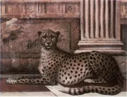 Декор Petracers Grand Elegance Noblesse A Ghepardo 15x20