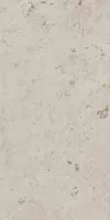 Керамогранит Kerama Marazzi Про Лаймстоун бежевый натуральный обрезной 60x119.5 DD506620R Керамогранит Kerama Marazzi Про Лаймстоун бежевый натуральный обрезной 60x119.5 DD506620R