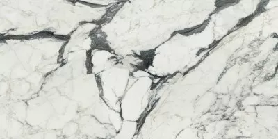 Керамогранит Rex Ceramiche Les Bijoux De Rex Calacatta Altissimo Matte Rett 40x80 766367 Керамогранит Rex Ceramiche Les Bijoux De Rex Calacatta Altissimo Matte Rett 40x80 766367