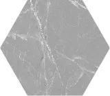 Керамогранит Atrivm Cosmo Silver 20x24
