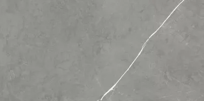 Керамогранит Atlas Concorde Russia Forte Dei Marmi Elegant Grey Rett Cer 60x120 610015000657