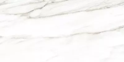 Плитка Alma Ceramica Euphoria 24.9x50 настенная TWU2550EPH04 Плитка Alma Ceramica Euphoria 24.9x50 настенная TWU2550EPH04