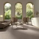 Vis (La Faenza)