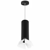 Комплект со светильником Lightstar Rullo RP497436