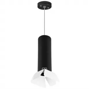 Комплект со светильником Lightstar Rullo RP497436