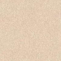 Обои Rasch Etro 517538 0.7x10.05 виниловые