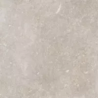 Керамогранит Kronos Ceramiche Evolution Evo Geyge Lapatto 100x100 EV007 Керамогранит Kronos Ceramiche Evolution Evo Geyge Lapatto 100x100 EV007