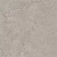 Керамогранит Ergon Portland Stone Cross Cut Lead Nat 60x60 EMHN