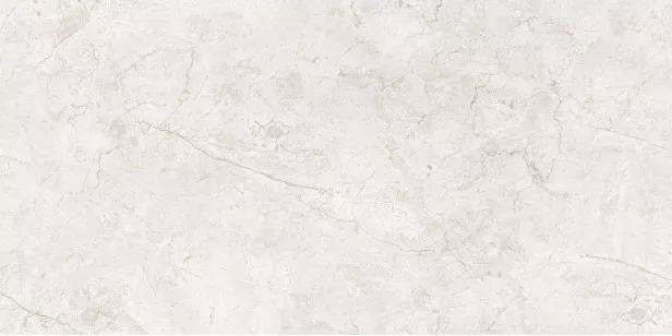 Керамогранит Embito Granito Panama Silver Carving Cr E 60x120