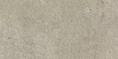 Керамогранит Casa Dolce Casa Sensi Ivory Fossil R+Ptv Rett 40x80 768338