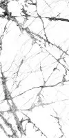 Керамогранит Pamesa Ceramica Cromat Lux Danae Iceberg White Pulido Rect 60x120 46-869-108-5163