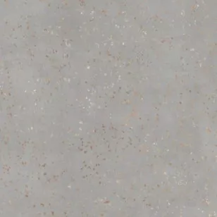 Керамогранит Tau Ceramica Ceppo Di Gre Silver 120x120