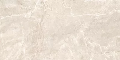 Керамогранит NewTrend Terra Beige Полированный 60x120 60120TER11P Керамогранит NewTrend Terra Beige Полированный 60x120 60120TER11P