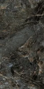 Керамогранит Ocean Ceramic Almond Green 80x160