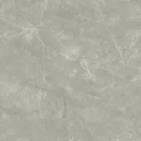 Керамогранит Laparet Wolf Grey сатинированный 80x80 Керамогранит Laparet Wolf Grey сатинированный 80x80