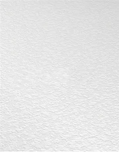 Обои Erismann RollOver 3900-01 25x1.06 виниловые
