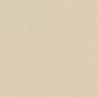 Обои As Creation Quinta 23218-41 (37435-3) 1.06x10.05 виниловые