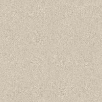 Обои Rasch Etro 517521 0.7x10.05 виниловые