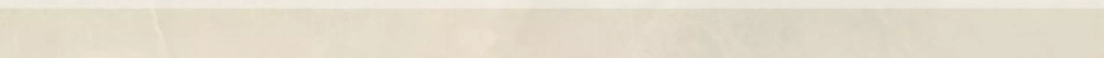 Бордюр Piemme Valentino Elegance Battiscopa Via Condotti L R 6.5x120 01438 Бордюр Piemme Valentino Elegance Battiscopa Via Condotti L R 6.5x120 01438