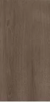 Плитка Paradyz Domus Brown 30x60 настенная