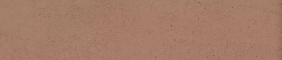 Плитка Kerama Marazzi Амстердам оранжевый матовый 6x28.5 настенная 26303