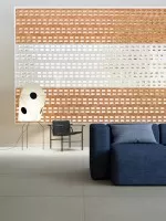 Brac (Mutina)