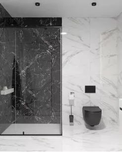 Керамогранит Artcer Eco Luminia Black Poli 60x120