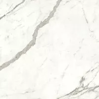 Керамогранит Atlas Concorde Italy Marvel Shine Statuario Supremo Lappato 120x120 A4RA