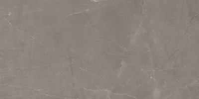 Керамогранит Ceradim Stone Micado Grey серый полированный 60x120