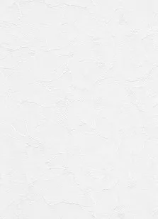 Обои Erismann RollOver 5357-01 25x1.06 виниловые