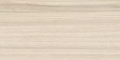 Плитка NewTrend Essense Beige 24.9x50 настенная WT9ESS11 Плитка NewTrend Essense Beige 24.9x50 настенная WT9ESS11