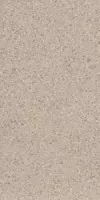 Керамогранит Imola Ceramica Parade Beige 30x60 PRDE 36B RM