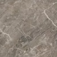 Керамогранит Versace Marble Grigio Onice Ret Lap 58.5x58.5 240016 Керамогранит Versace Marble Grigio Onice Ret Lap 58.5x58.5 240016