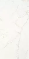 Керамогранит STN Ceramica Thuile Venato Natural Mt 60x120 CAN5THUIVDAA Керамогранит STN Ceramica Thuile Venato Natural Mt 60x120 CAN5THUIVDAA