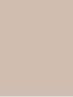 Плитка Rako Color One бежевая матовая 25x33 настенная WAAKB108